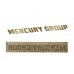 Mercury group